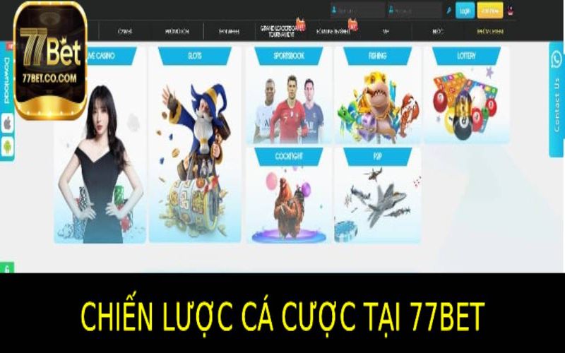 77bet là gì ? Chiến Lược Cá Cược Hiệu Quả với 77bet